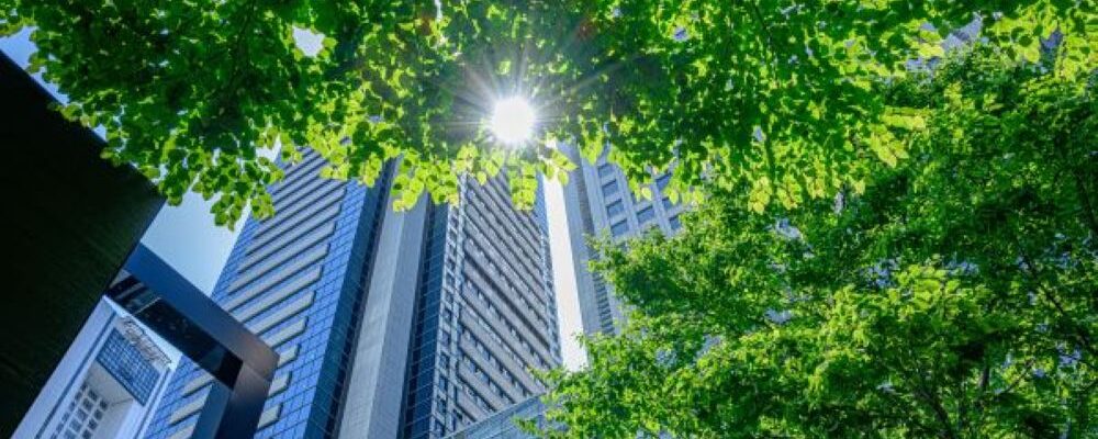 青空と緑の木々に映える近代的なオフィスビルの外観（ビルメンテナンス会社のM&A譲渡事例）