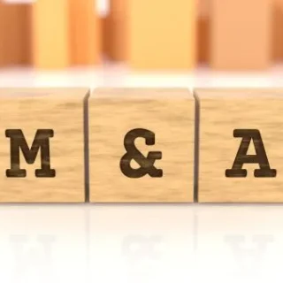 中小M&Aガイドラインとは